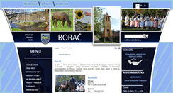 Desktop Screenshot of borac.cz